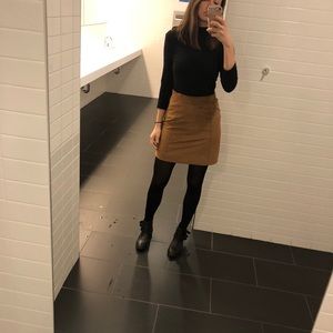 Aritzia Babaton Suede Mini Skirt